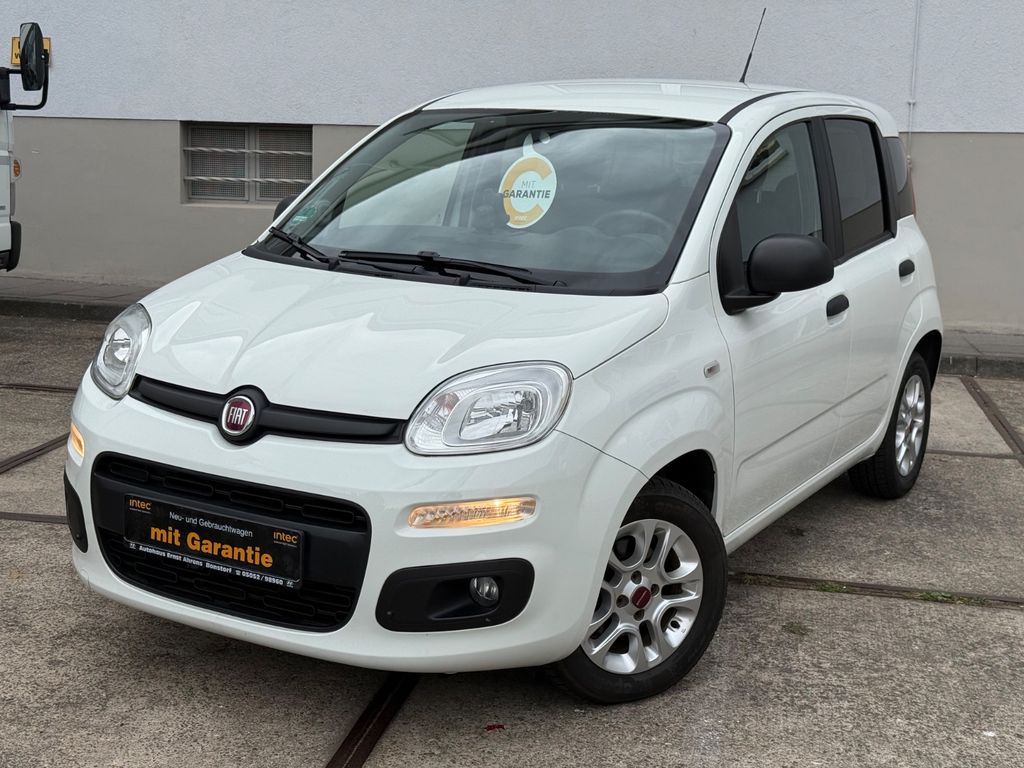 Image of Fiat Panda