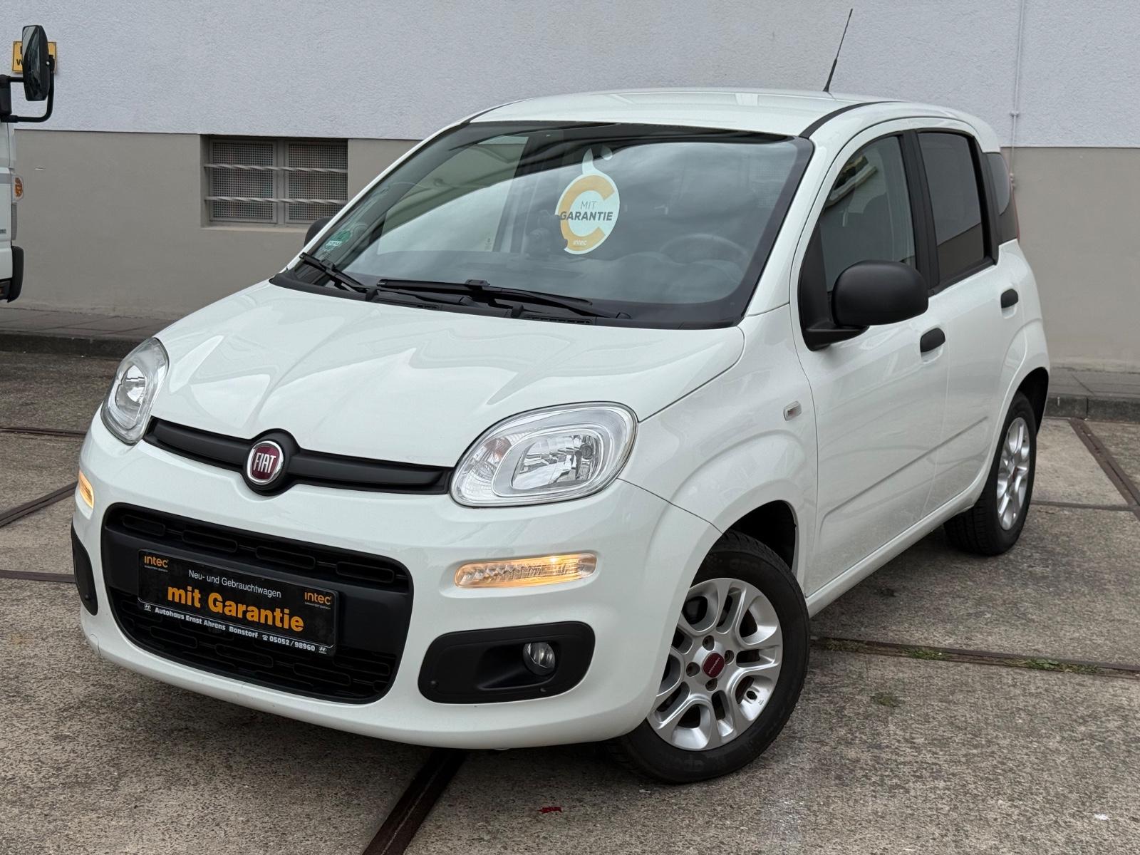 Fiat Panda MORE*ALLWTTR*ALU*PDC