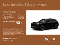 Cupra Terramar - Vorschau Bild 1