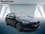 Skoda Octavia Combi 2.0 TDI W Sportline ACC LED Black - Skoda Octavia Neuwagen in Dortmund