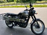Triumph Scrambler 900 - TRIUMPH SCRAMBLER 900