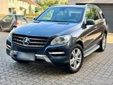 Mercedes-Benz Mercedes Benz Ml 250 W166 Bluetec|Scheckhe... - Mercedes-Benz ML 250 aus 2011