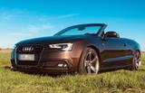 Audi A5 Cabrio 3,0 TDI Quattro TOP ZUSTAND - Audi quattro Gebrauchtwagen