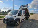 Fiat FIAT Ducato 35 2.3 MJT 180CV ribaltabile trilate - Fiat Ducato: 18