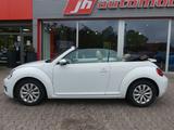 Volkswagen Beetle Cabriolet Design*Sitzhzg.*Leder*Klima*PDC - : Weiß, Cabrio