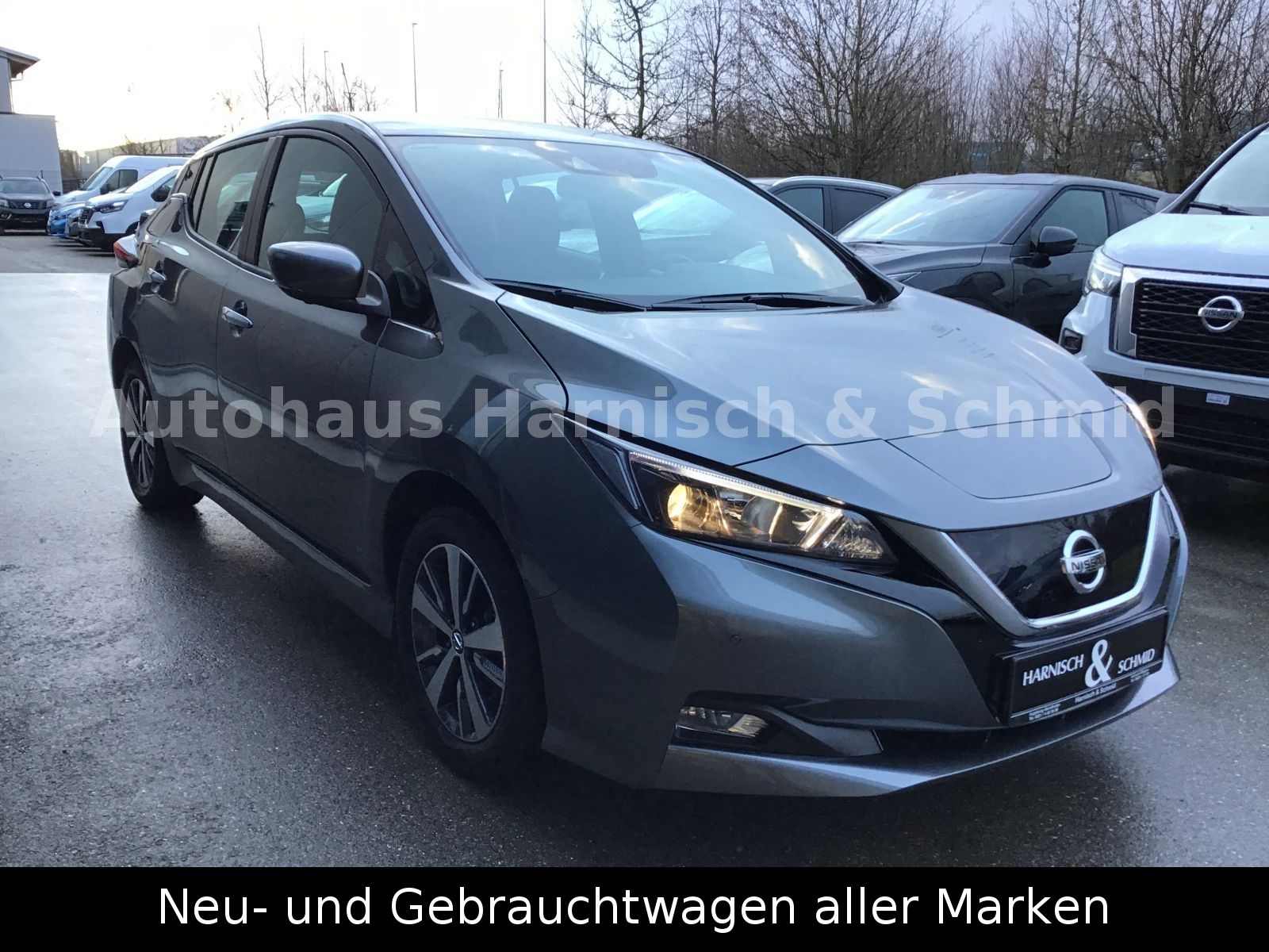 Fahrzeugabbildung Nissan Leaf Acenta 40KW/h - Winter-P.,360°;SOH96%