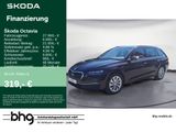 Skoda Octavia Combi 1.5 TSI mHEV DSG Selection - Skoda Octavia Jahreswagen: Kombi