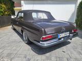 Mercedes-Benz 220 SEb Werkscabriolet-Komplett Restauriert - Mercedes-Benz 220: Braun, Leder