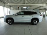 Volkswagen Tayron Life PHEV eHybrid OPF 110 kW (150 PS) / 8 - Volkswagen Tayron Tageszulassungen