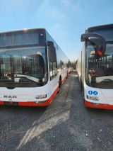 MAN 4 x A 21 Lions City Euro 5 EEV Klima / O 530 - MAN Lions