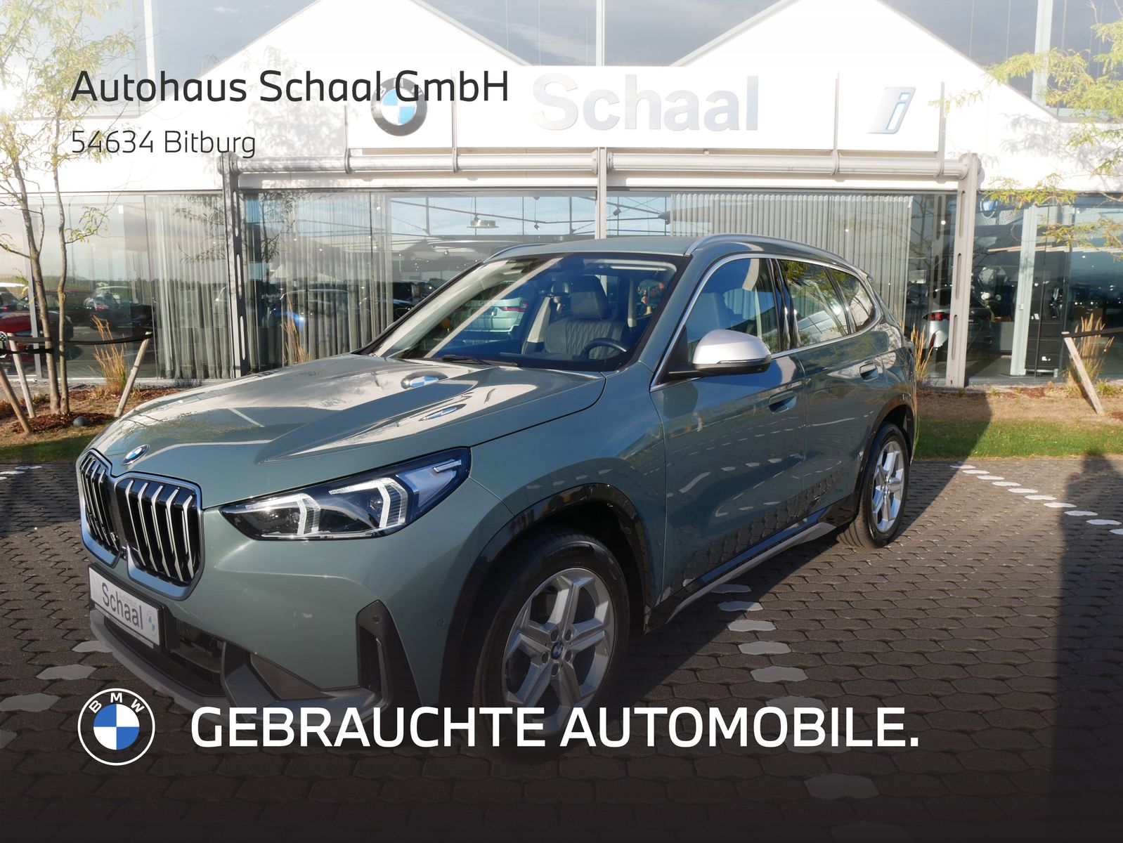 BMW X1 xDrive20d xLine Head-Up HK HiFi DAB LED Shz