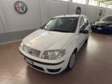Fiat Punto 1.2 GPL 60cv anno 2009 neopatentati - Fiat Punto: 60
