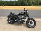Harley-Davidson Roadster  XL1200