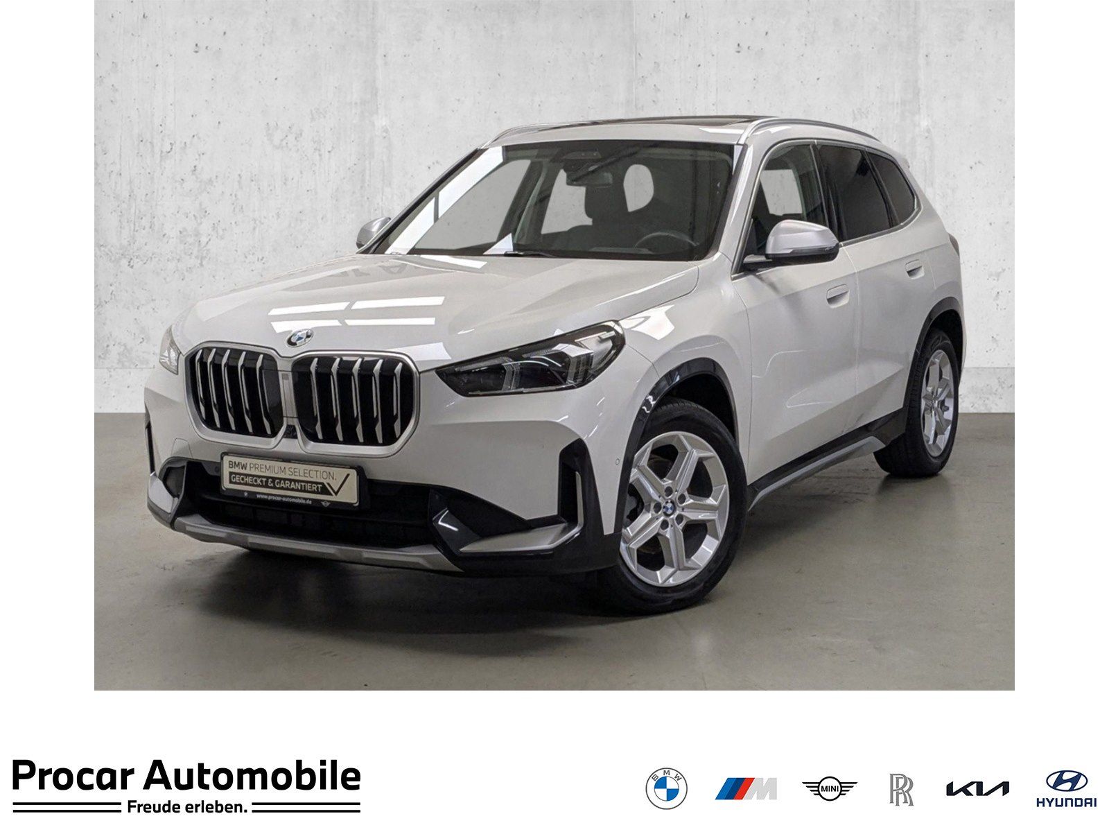 BMW X1 xDrive20d xLine Pano AHK DA Prof 360° HuD H K