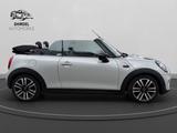 MINI COOPER Cabrio Cooper/1Hand/Kamera/Sitzheizung - MINI MINI: Leder