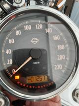 Harley-Davidson Switchback