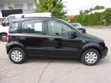 Fiat Panda 1.2 8V Dynamic Klima - gebrauchte Fiat Panda aus dem Jahr 2011