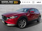 Mazda CX-30 G150 Selection AT ACC 360° HUD BLIS Navi - Mazda Gebrauchtwagen in Augsburg