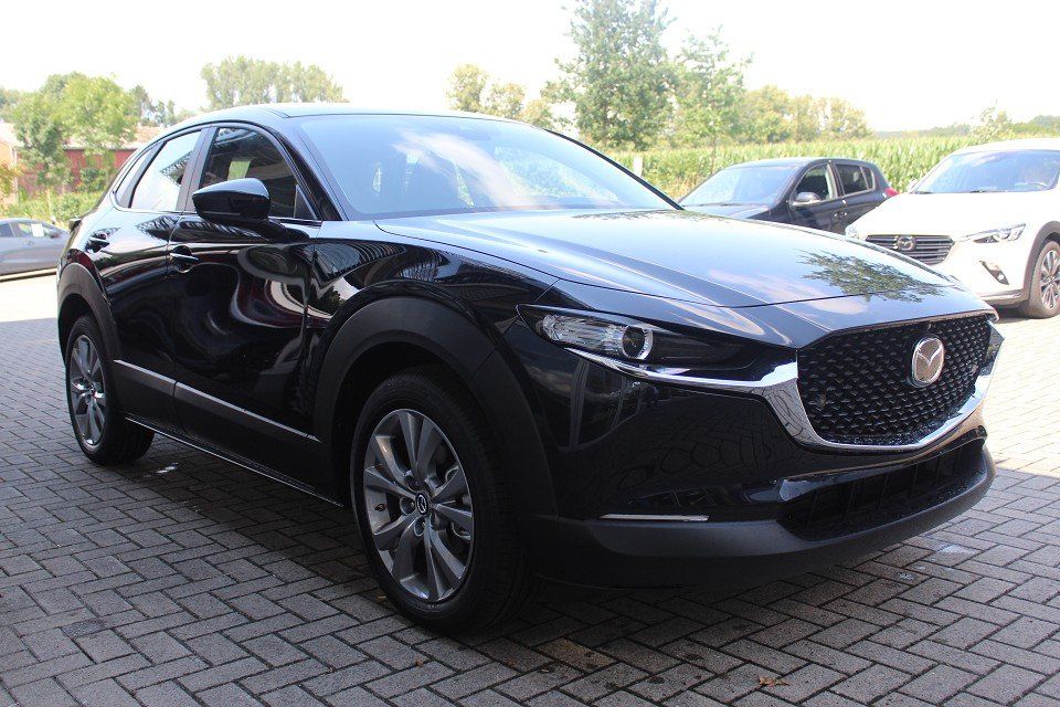 Fahrzeugabbildung Mazda CX-30 M-Hybrid Selection G-150 NAVI ACAA MRCC HU