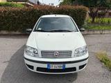 Fiat Punto Classic 1.2 5 porte Active - Fiat Punto: Active