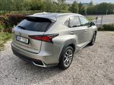 Lexus NX 300 145kW - graue Lexus NX-Serie