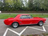 Ford Mustang V8 Schalter TOP H-Zulassung  - Ford Mustang aus 1966: Coupe