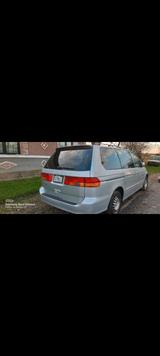 Honda odyssey 3.5l 260ps din USA - Honda Odyssey: Kleinbus