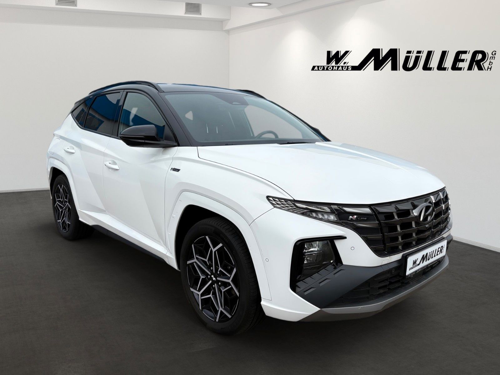 Fahrzeugabbildung Hyundai Tucson N Line Plug-In Hybrid Sitz- & Assis Paket