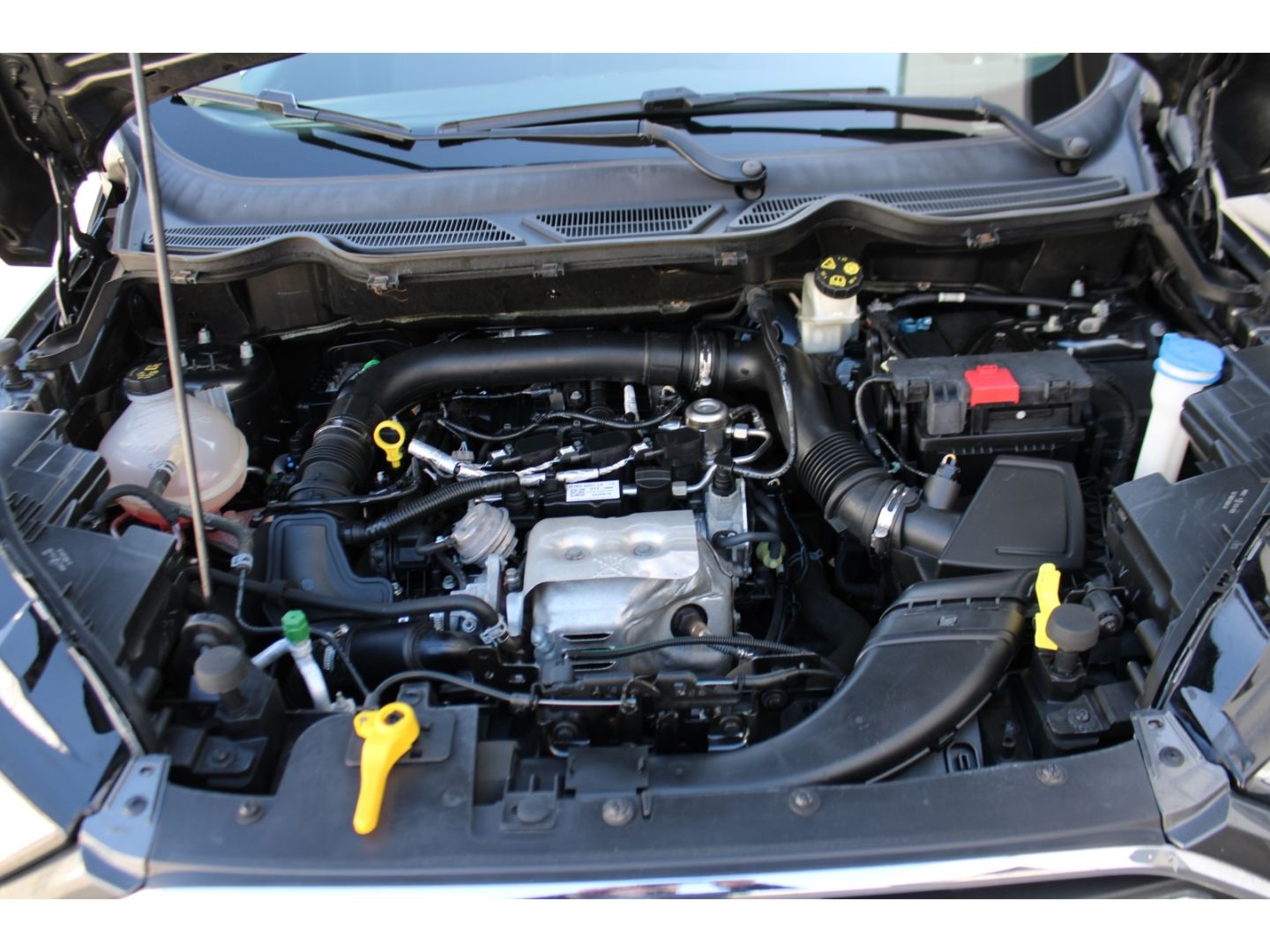 Fahrzeugabbildung Ford EcoSport Titanium WiPa RFK Tempomat  Android Aut