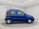 Fiat Panda 1.2 8V Dynamic Rentnerfahrzeug TÜV NEU - Fiat Gebrauchtwagen von 2008