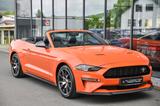 Ford Mustang Cabrio 2.3 EcoBoost 55-Paket* 4-Rohr* - : Cabrio, 55