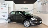Fiat Punto 1.2 5 porte - Benzina - gebrauchte Fiat Punto aus dem Jahr 2016