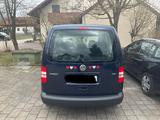Volkswagen Caddy 1,2TSI 63kW Roncalli 5-Sitze Roncalli - Volkswagen Caddy mit Benzin-Antrieb: Kombi, 1.6