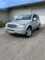 Mercedes-Benz ML 55 AMG 2. Hand - Mercedes-Benz: Ml55