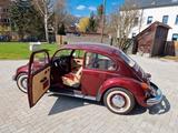 Volkswagen Käfer - Volkswagen Käfer: Rot