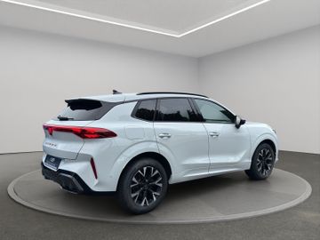 Cupra Terramar - 4