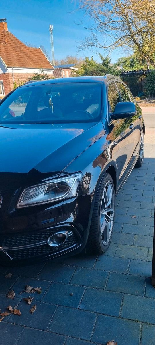 AUDI Audi SQ5 Allrad
