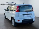 Fiat Pandina 1.0 GSE BT DAB PDC Temp Spurhalteass. Ve - Fiat New Panda Gebrauchtwagen