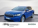 Skoda Enyaq iV 50 - Skoda Enyaq 50 Gebrauchtwagen