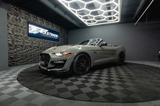 Ford Mustang Shelby GT 500 5.0 V8 PREMIUM Performance - Ford: Shelby