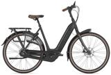 Gazelle Arroyo C8 Elite Low-Step - 53cm (M) - Gazelle E-Bikes