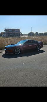Ford Mustang - GT - V8 - 4,6L - REGENCY  - gebrauchte Ford Mustang aus dem Jahr 2008