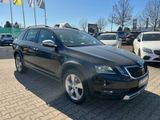 Skoda Octavia 2.0 TDI DSG Combi Scout 4x4 Standheizung - Skoda Octavia: Scout Combi