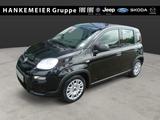Fiat Panda MY24 1.0 70PS Mild-Hybrid, Klima, ZV, elek - Fiat Panda in Hamm