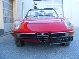 Alfa Romeo Spider 2000 FB   Atemberaubend, puristisch - Alfa Romeo Gebrauchtwagen von 1981