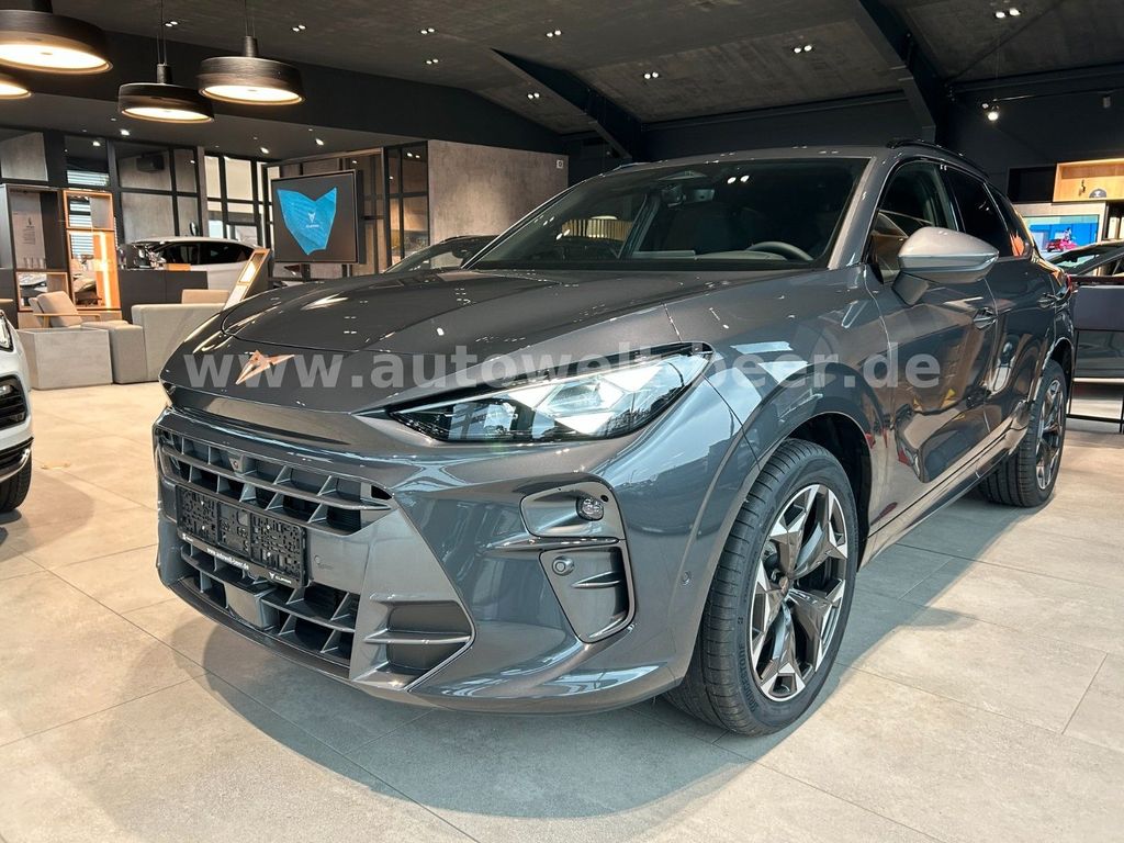 Terramar VZ 2.0 TSI 265PS DSG 4Drive *CAM*NAVI*