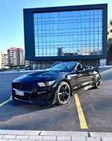 Ford Mustang 2.3 EcoBoost Shelby Optik  - Ford: Roadster
