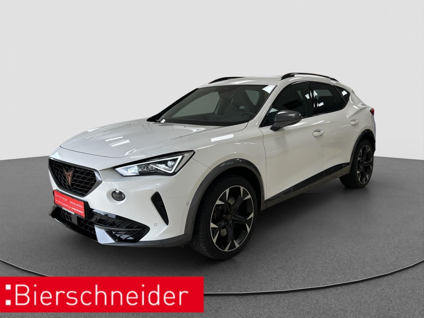 Cupra Formentor 2.0 TSI DSG 4Dr. VZ RFK DCC ACC 19
