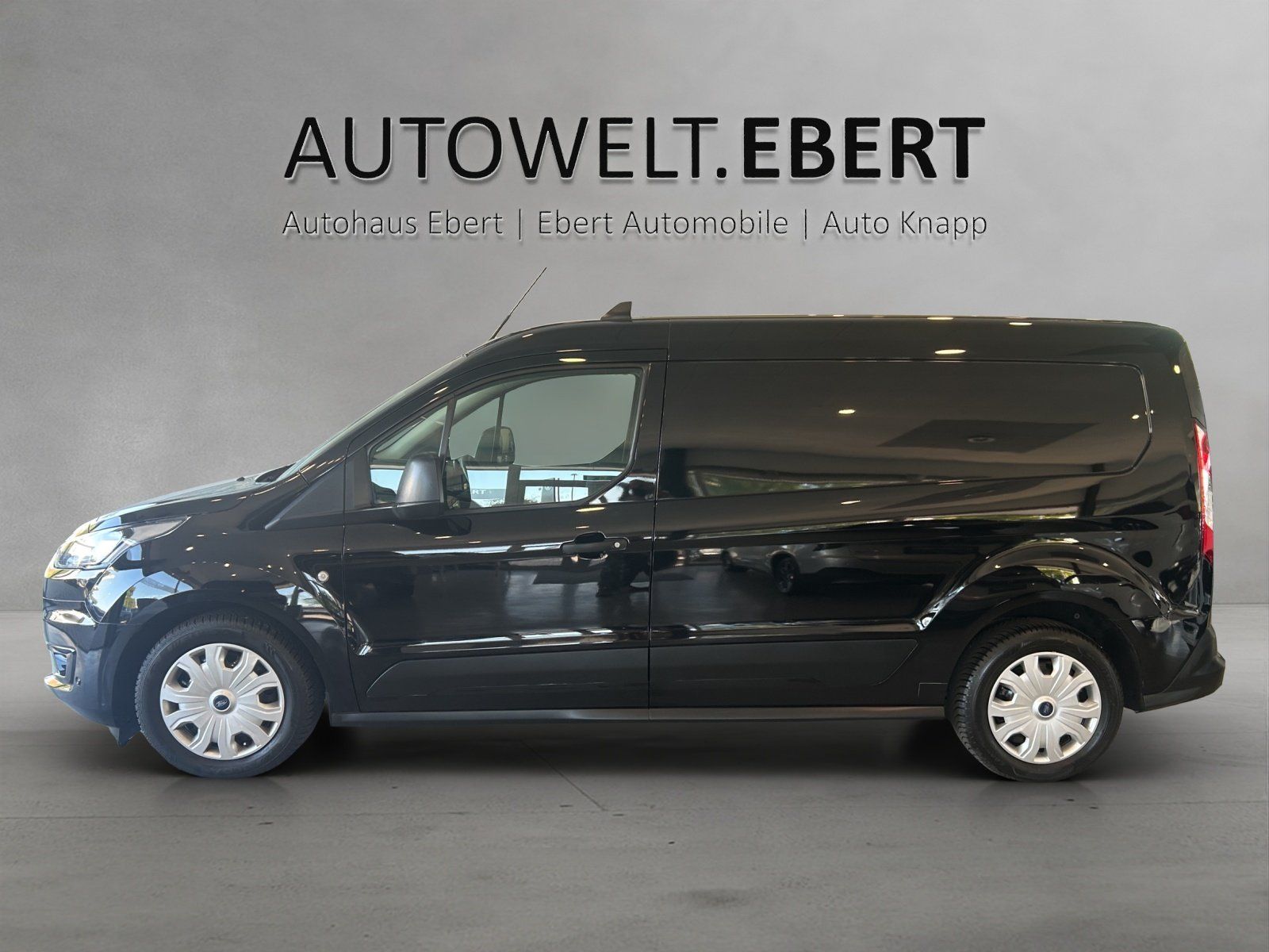 Fahrzeugabbildung Ford FORD Transit Connect 210 L2 S&S