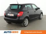 Skoda Fabia 1.2 TSI Best of*TEMPO*PDC*SHZ*ALU*KLIMA* - Skoda Fabia Gebrauchtwagen in Nürnberg